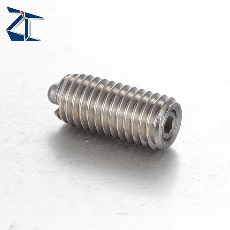 Exklusives Angebot: Einziehbarer Federkolben, federbelasteter Kolben, robuster Federkolben