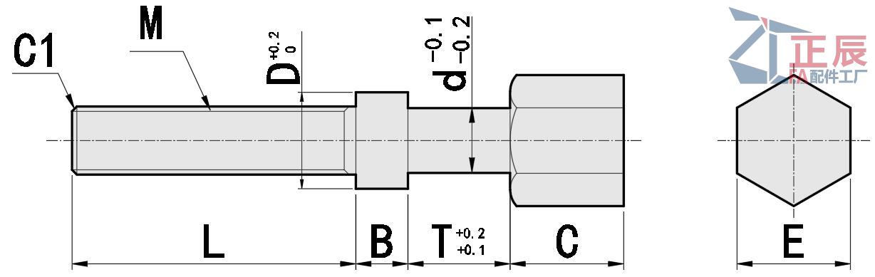 Einstellschrauben mit Sechskantkopf AJSTC AJSTCM AJSTCS