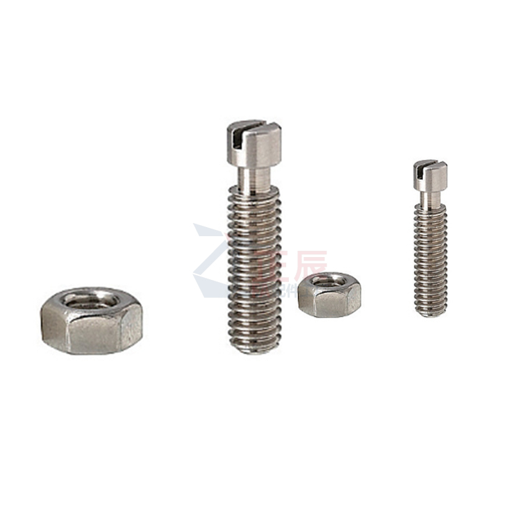 Federanker – Schlitzschraubendreher Typ BSPO SBSPO