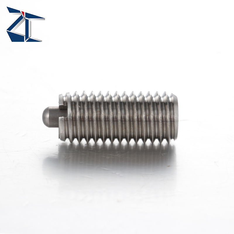 Exklusives Angebot: Einziehbarer Federkolben, federbelasteter Kolben, robuster Federkolben