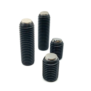 Glatte Schwenkspannschraube PT16A