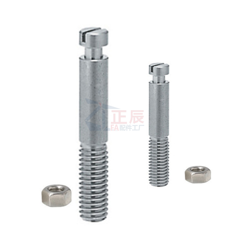 Federanker – Schlitzschraubendreher Typ BSPO SBSPO